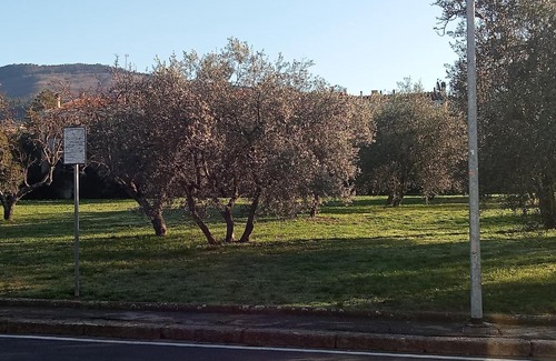 Colonnata Apartment | Residenza Relax Quinto Alto Sesto Fiorentino Firenze