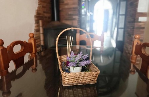 Aracena House | Rest inhabited Dreams