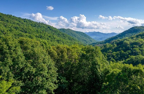 Sylva House | Rest on the Rocks - A Charming home nestled in a canopy of forest trees and mountain rocks!
