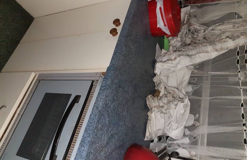 Waikanae House | retro housebus love