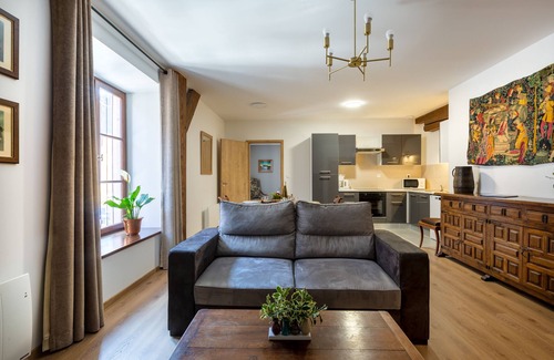 Selestat Apartment | RHENANUS: Ludwig Dringenberg 🐕‍🅿️🗝