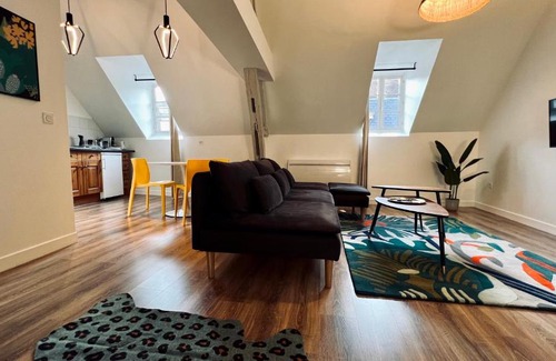 Auxerre Apartment | RhizHome - Coeur de ville, appartement spacieux