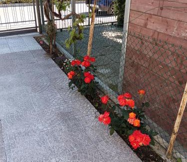 Fogliano Marina Apartment | Riccione Apartment