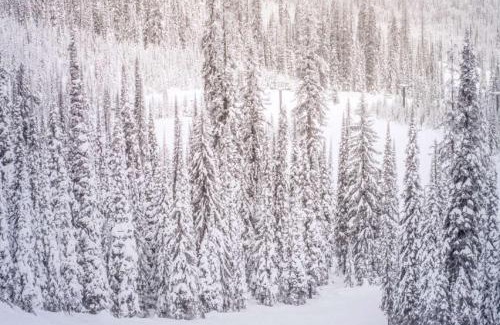 Snowmass Village House | Ridge 27