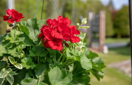 Baileys Harbor Resort | Ridges Inn & Suites
