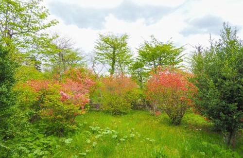 Yumoto House | Rigeru - Vacation STAY 11338