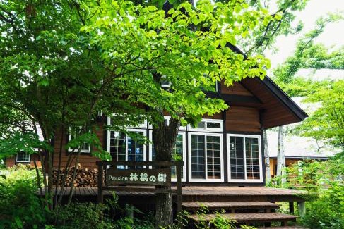 Hakuba Hotel | Ringo Lodge Hakuba
