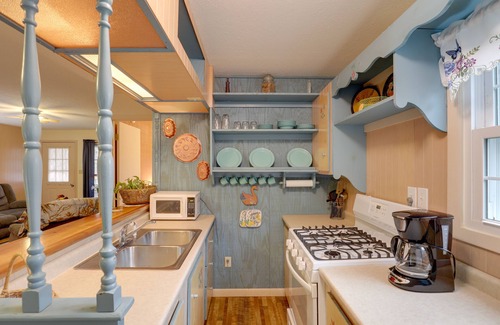 Hot Springs Cabin | River Access & Hot Tub: Cozy Hot Springs Cabin