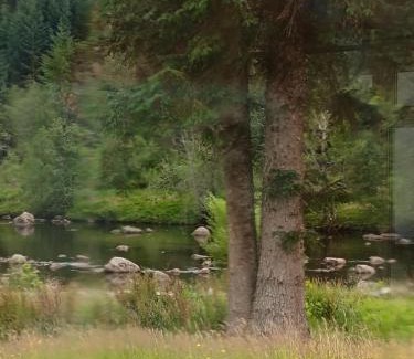 Garve Hotel | River Black Water inn