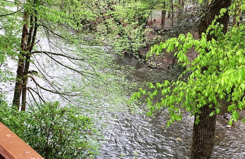 Townsend Cabin | River Frontage ❄Hot Tub ❄Whirlpool bath ❄Studio for Two ❄Pet Friendly