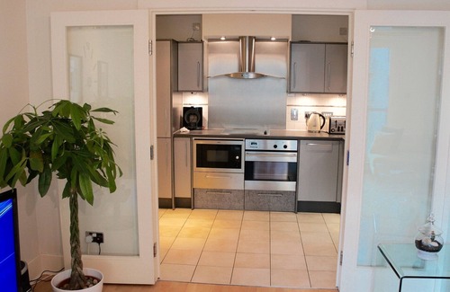 Vauxhall Apartment | River Thames View Apartment