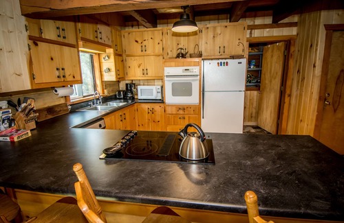 Pagosa Springs Cabin | Riverfront log cabin with picturesque view!