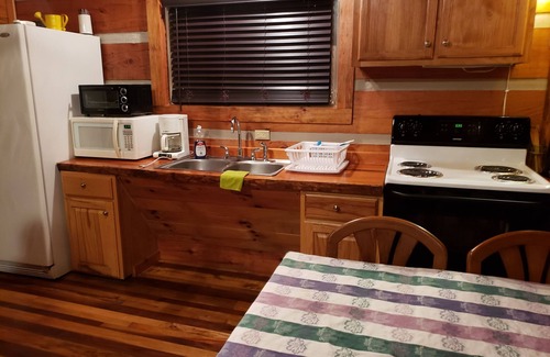 Hot Springs Cabin | Riverfront Log Cabin, Hot Tub, Pet-Friendly, Universal Access