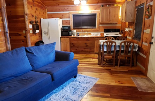 Hot Springs Cabin | Riverfront Log Cabin, Hot Tub, Pet-Friendly, Universal Access