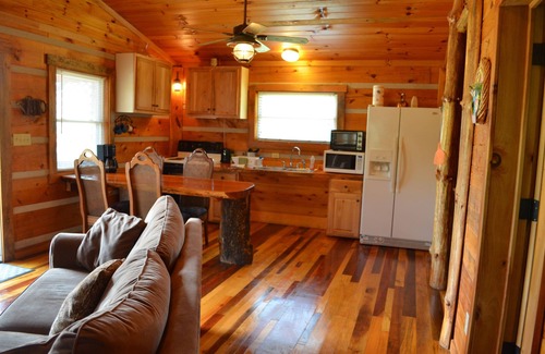 Hot Springs Cabin | Riverfront Log Cabin, Hot Tub, Pet-Friendly, Universal Access