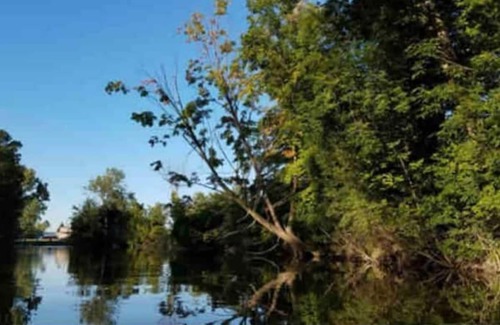 Rockwood Condo | Riverfront Retreat! #2/Fish/Hunt