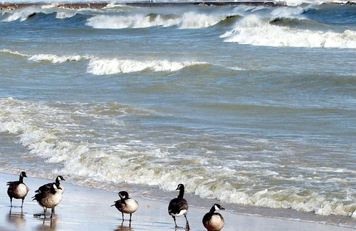 Algoma Condo | Rivers Edge Condominiums, Waterfront condos located in Algoma WI. Lake Michigan