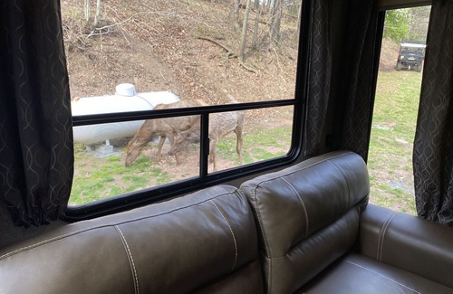 Driftwood House | Rivers, private elk viewing, FREE amenities, site on 62 acres