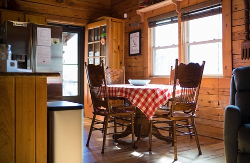 Canton Cabin | Riverside Cabin with Hot Tub and firepit pet Friendly