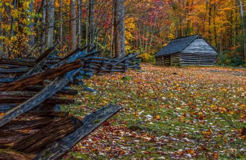 Cosby House | Riverside Retreat Cabin w Hot Tub & Fire Pit