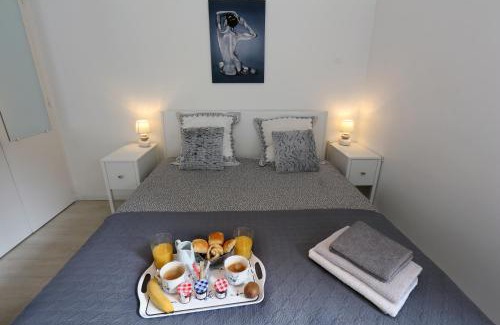 Capitole Apartment | Riverside Toulouse (Harmony)