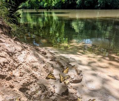 Cleveland Villa | Riversong Cabin - Living Waters Farm