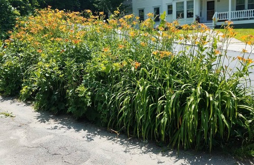 Warrensburg Apartment | RIVERVIEW ADIRONDACK RUSTIC APARTMENT