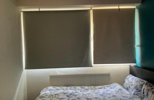 Streatham Hill House | Road to home
