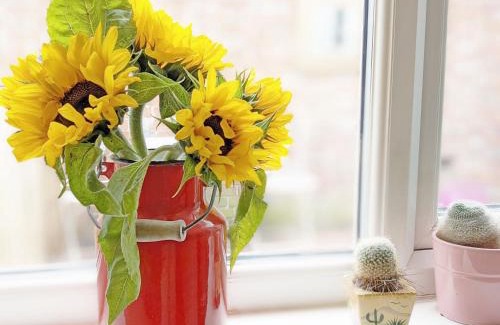 Billingshurst House | Robins Rest, Billingshurst