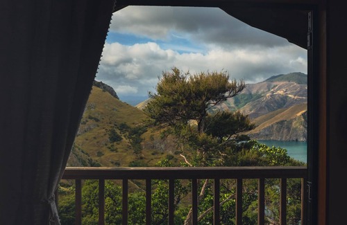 Nelson Region Cabin | Rocky Point Hut Pepin Island is nestled amongst native kanuka and coastal New Zealand bush