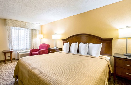 Romulus Hotel | Rodeway Inn Metro Airport