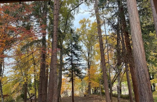Redwood House | Rogue Reefs Riverfront Home