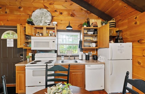 Sautee Nacoochee Cabin | Romantic Cabin near Helen | Hot Tub | Fireplace