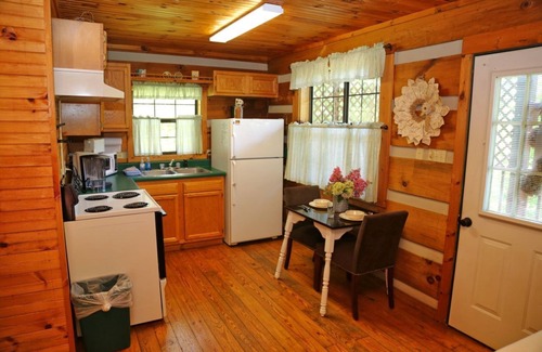 Townsend Cabin | Romantic Getaway in the Smokies-HOT TUB & JACUZZI - Blue Spruce