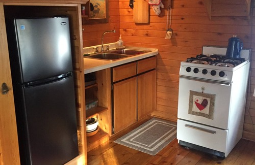 Drummond Cabin | Romantic Log Cabin Nestled in Wooded Setting on Lake Wilipyro