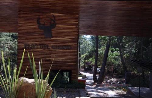 Mazamitla House | Romantic tiger suite