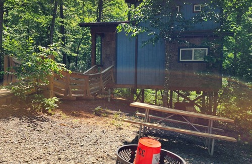 Mill Spring House | Romantic treehouse nestled on the creek, private deck, loft bedroom, shower skylights, bridge, sleeps 3.