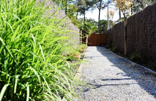 Cap-Ferret Bed & Breakfast | Room Cozy Piraillan