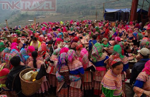 Hang Trong House | Room in Lodge - Sapa Homestay For The Backpackers