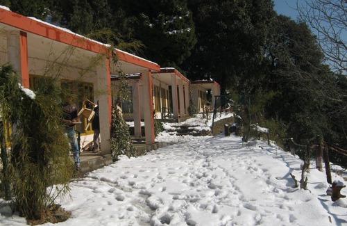Pangot House | Room-janardan Resort Pangot, Nainital