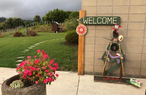Waipu Bed & Breakfast | Room with a view