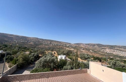 Jerash Other | Rooooz