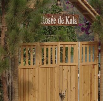 Di Linh Cabin | Rosée De Kala - A&Q Suite