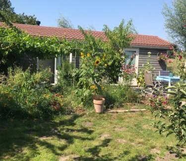 Schoorldam Resort | Rosa's zonnige huisje bij duinen bos en strand