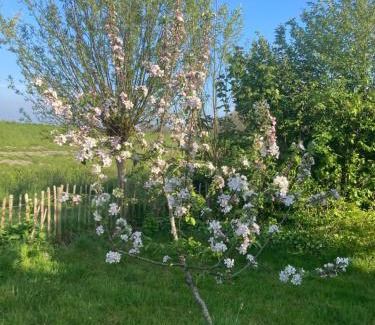 Schoorldam Resort | Rosa's zonnige huisje bij duinen bos en strand