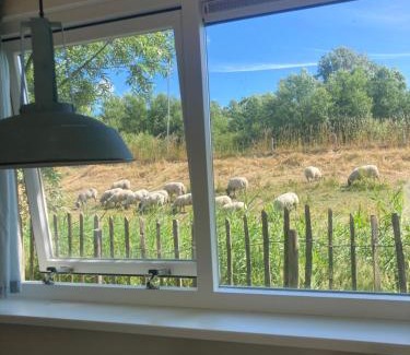 Schoorldam Resort | Rosa's zonnige huisje bij duinen bos en strand