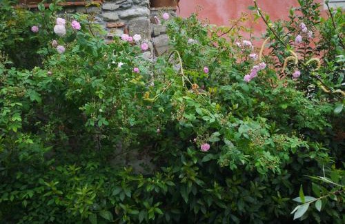 Borghetto-melara House | Rose Cottage Tuscany