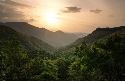 Bandarawela House | Roseland Cottages