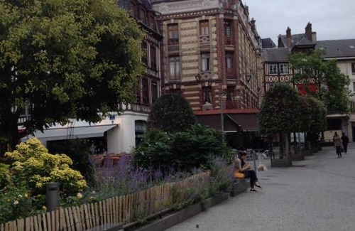 Quartier Vieux Marche-Cathedrale Apartment | Rosita