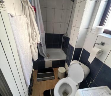 Ploiesti House | Rosu Costin